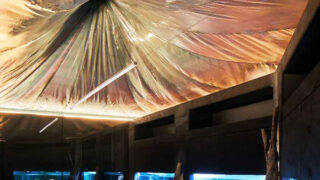 膜屋根を水族館に施工｜クラゲのような浮遊感のある屋根膜屋根｜東京都