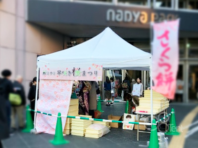 白のスタンダードなワンタッチテント